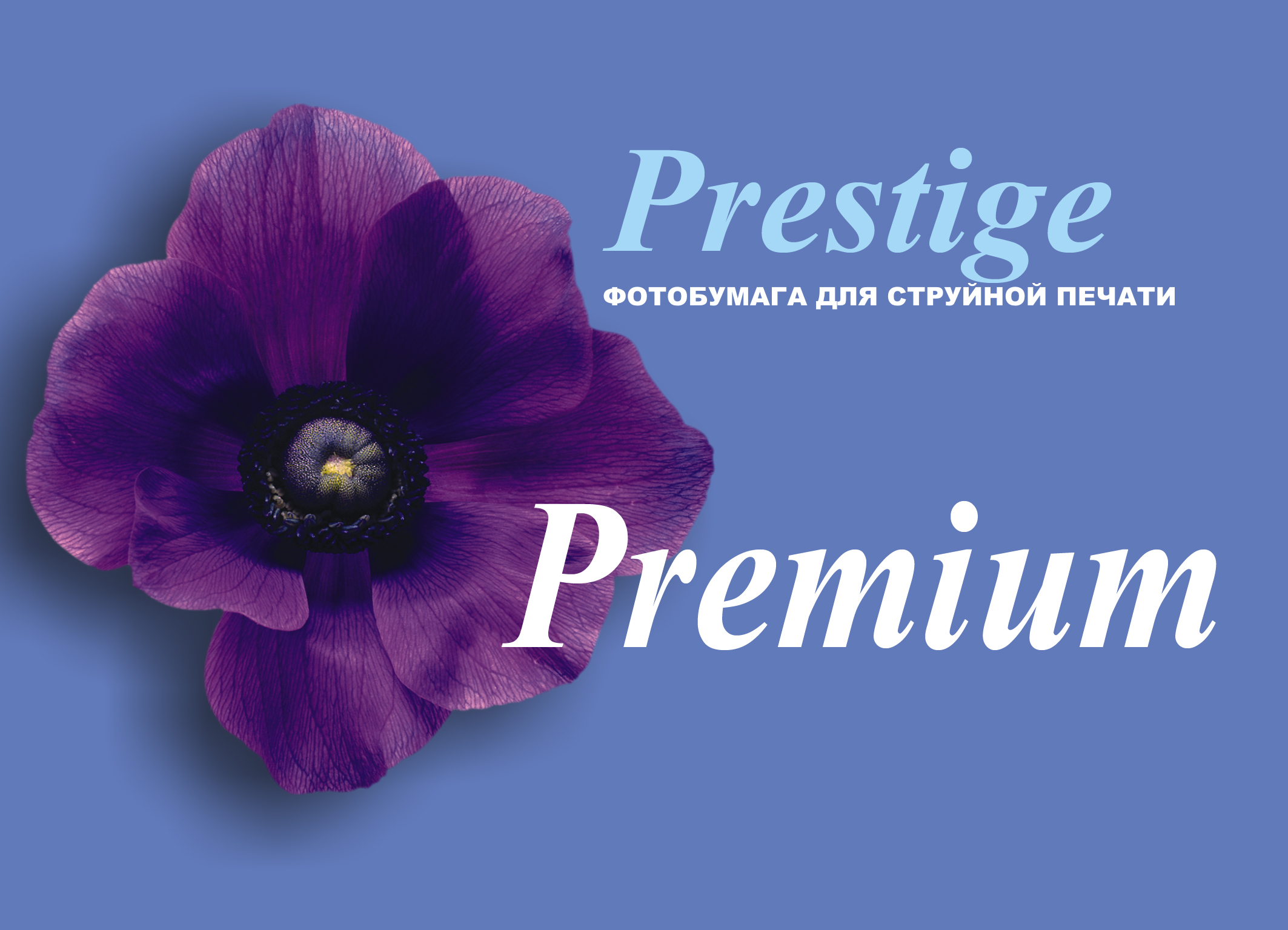 PRESTIGE, фотобумага "Premium"